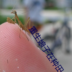 重生娘子在种(種)田(田)