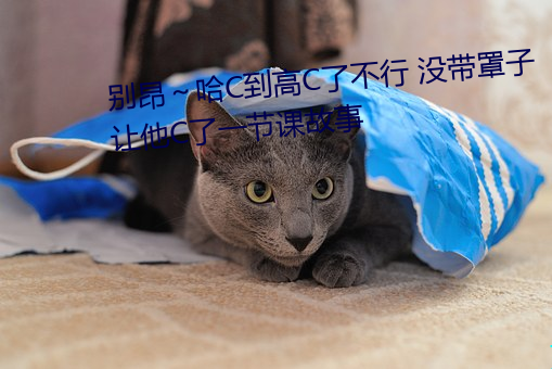 别昂～哈C到高C了(了)不行 没带罩子让他C了一节课(課)故(故)事