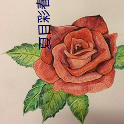 夏(xià)目(mù)彩(cǎi)春中文字幕