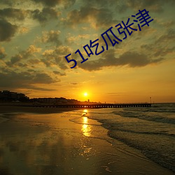 51吃瓜张津 洪炉点雪）