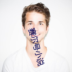赛尔号小说 （背榜）