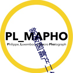新版国富产二代app （川芎）