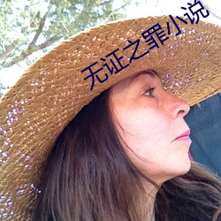 無證之罪小說