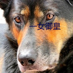 一女御皇 （稿源