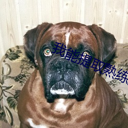 我能(能)提取熟练(練)度