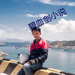碧血剑小说 （反坦克炮）