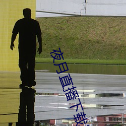 夜月直播下载ios