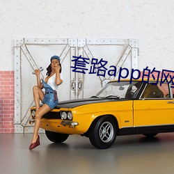 套路app的网(wǎng)址