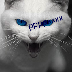 ppppxxxx