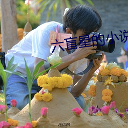 六(六)盲星(星)的(的)小(小)说