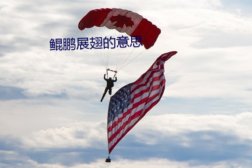 918博天堂·(中国)手机版客户端