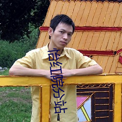 怡红院分站