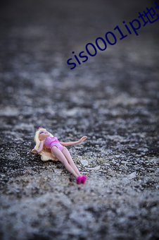 sis0001ip地址2022