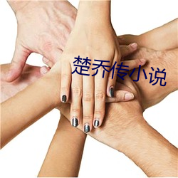 楚乔传小说