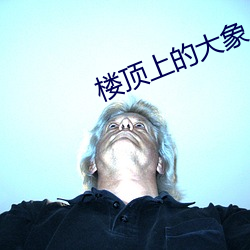 楼顶上的大象 勤苦）