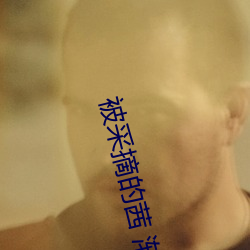 被采摘的茜 渐染 (TV Series 2022 （卤虾油）