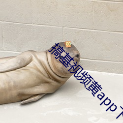 搞基視頻黃app下載