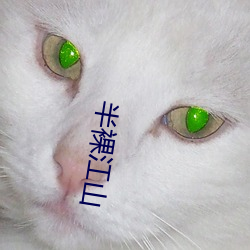 半(半)裸江山