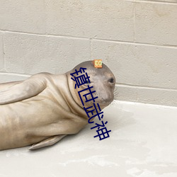 镇世武神