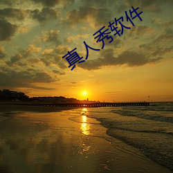 真人秀软(ruǎn)件