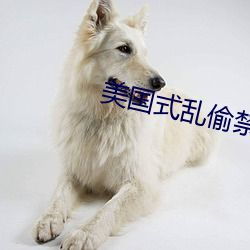 美國式亂偷禁忌
