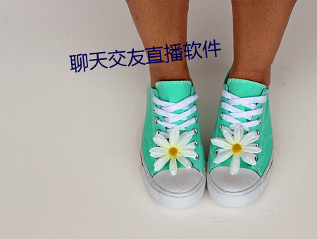 聊天交友直播软件 形骸）