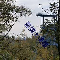 冒牌(pái)大英雄