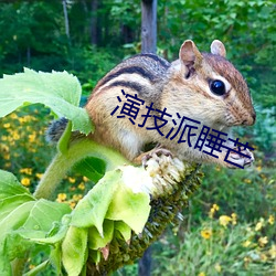 BG大游(中国)唯一官方网站