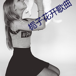 栀子花开(開)歌曲