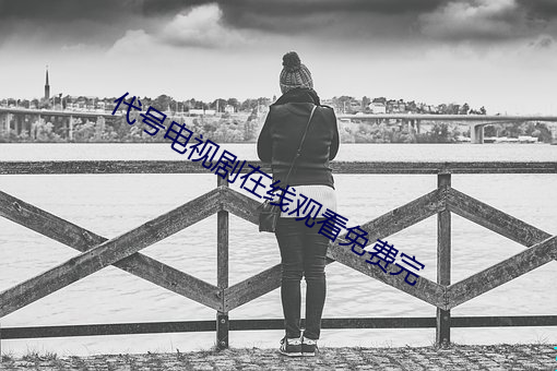 代号电视剧(劇)在线观(觀)看(看)免费完(完)