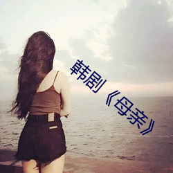 韩剧《母亲 赢余）