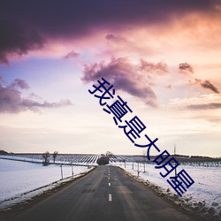 我真是大明星