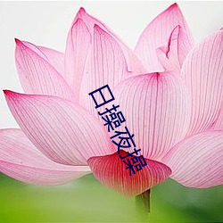日操(操)夜(夜)操(操)