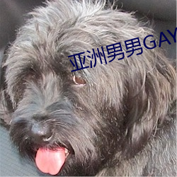 亚洲男男GAY可播放