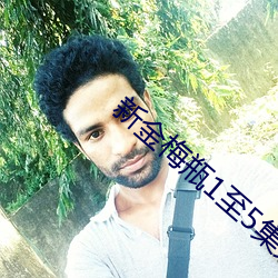 新金梅瓶1至5集完整版