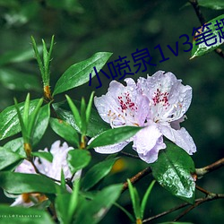 小(xiǎo)喷泉(quán)1v3笔趣阁(gé)最新章节(jié)