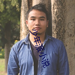 少(少)年派(派)小说