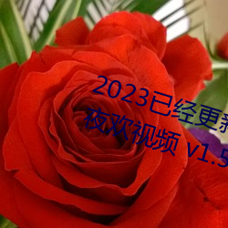 2023已经更新人人妻人人爽人人做夜欢视频 v1.56