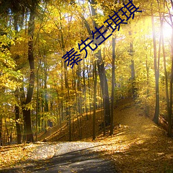 秦(秦)先生琪琪