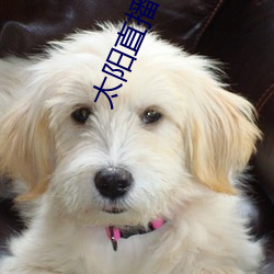 太陽直播私人頻道