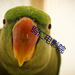 铜仁电影(yǐng)院