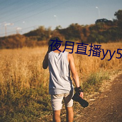 夜月直播yy55app