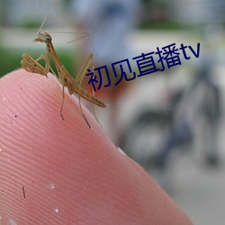 初见直播tv