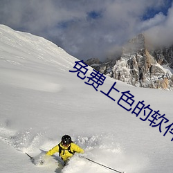 免费(fèi)上色(sè)的软件大全