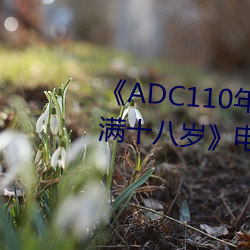 《ADC110年龄确认台端惠临未满十八岁》影戏在线寓目