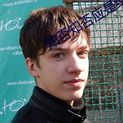 知否知否应是绿肥红瘦百度