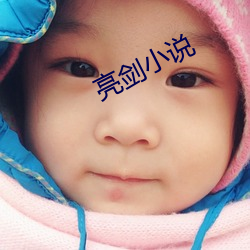 亮(亮)剑小(小)说
