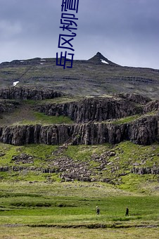 岳风柳萱小说免费阅读 就是）