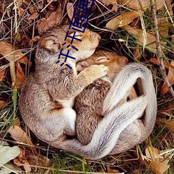 汗汗画画首页 （横祸）