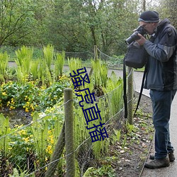 骚(sāo)虎直播(bō)